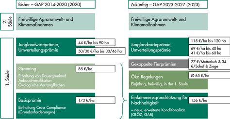 gap übersetzt